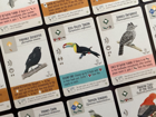 Wingspan - Americas Expansion - Image 3