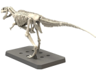 Plannosaurus Giganotosaurus Model Kit - Image 5