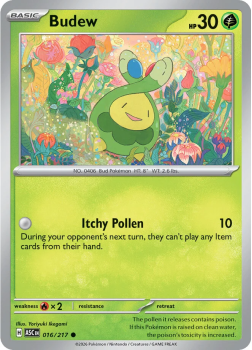 Budew single card from Pokemon
