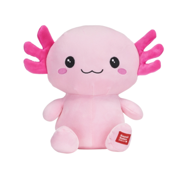 Kawaii Kuties 9.5" Axolotl Soft Toy
