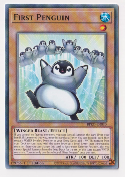 First Penguin (Common)