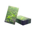 Gamegenic Forest Shuffle Premium Art Sleeves - Image 2