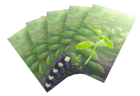 Gamegenic Forest Shuffle Premium Art Sleeves - Image 3