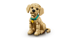 LEGO&reg; Icons Golden Retriever Puppy (11384) - Image 2
