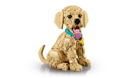 LEGO&reg; Icons Golden Retriever Puppy (11384) - Image 3