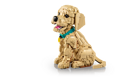 LEGO&reg; Icons Golden Retriever Puppy (11384) - Image 4