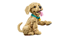 LEGO&reg; Icons Golden Retriever Puppy (11384) - Image 5