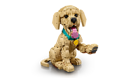 LEGO&reg; Icons Golden Retriever Puppy (11384) - Image 6