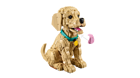 LEGO&reg; Icons Golden Retriever Puppy (11384) - Image 7
