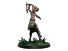 Warcrow : Syenann Eachann, the Great Centaurelf - Image 3