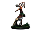 Warcrow : Syenann Eachann, the Great Centaurelf - Image 4