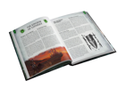 Warhammer Fantasy RPG: Sea Wardens of Cothique - Image 2