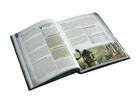 Warhammer Fantasy RPG: Sea Wardens of Cothique - Image 3