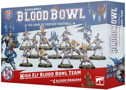 High Elf Team - The Caledor Dragons