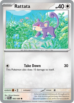 Rattata single card from Pokemon