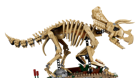 LEGO&reg; Jurassic World Dinosaur Fossils: Triceratops (77985) - Image 3