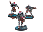Infinity : Combined Army Stingers Security Tactical Unit - Image 2