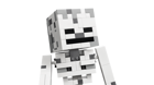 LEGO&reg; Minecraft The Skeleton (21594) - Image 3