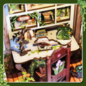 Cutebee DIY Book Nook Kit Green Life Bookshop - Image 5