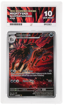 Mightyena (ILLUSTRATION RARE) : 243/217 MEGA EVOLUTION ASCENDED HEROES - ACE GRADING Graded Card - 10 GEM MINT