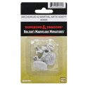 Dungeons & Dragons Nolzur&rsquo;s Marvelous Miniatures Archdruid & Martial Arts Adept