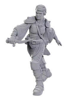 Dungeons & Dragons Nolzur&rsquo;s Marvelous Miniatures Swashbuckler
