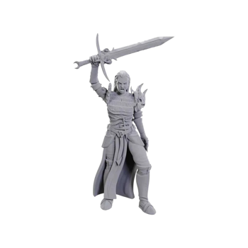 Dungeons & Dragons Nolzur&rsquo;s Marvelous Miniatures Blackguard