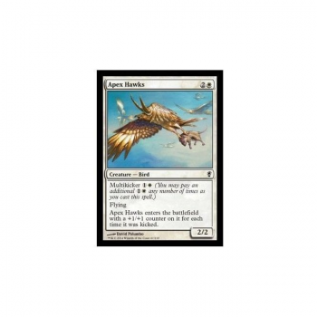 Apex Hawks : CONSPIRACY 067/210 - Magic the Gathering Single Card
