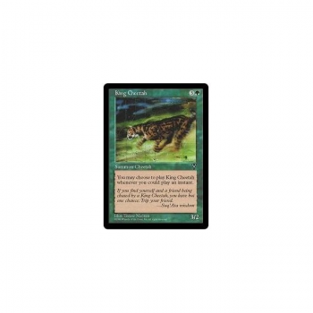 King Cheetah : VISIONS 072/167 - Magic the Gathering Single Card