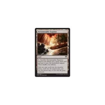 Terramorphic Expanse : DUEL DECKS: SPEED VS. CUNNING 74/82 - Magic the Gathering Single Card