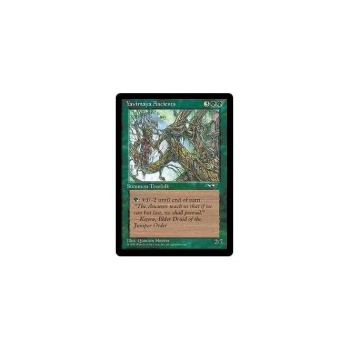 Yavimaya Ancients : ALLIANCES 198/199 - Magic the Gathering Single Card