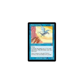 Drake Hatchling : MERCADIAN MASQUES 076/350 - Magic the Gathering Single Card