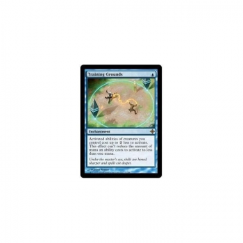 Training Grounds : RISE OF THE ELDRAZI 091/248 - Magic the Gathering Single Card