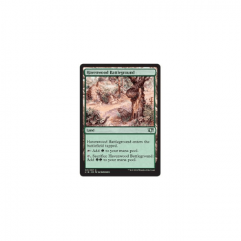 Havenwood Battleground : COMMANDER 2014 301/337 - Magic the Gathering Single Card