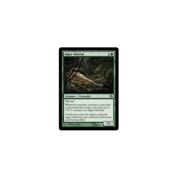 Algae Gharial : SHARDS OF ALARA 123/249 - Magic the Gathering Single Card