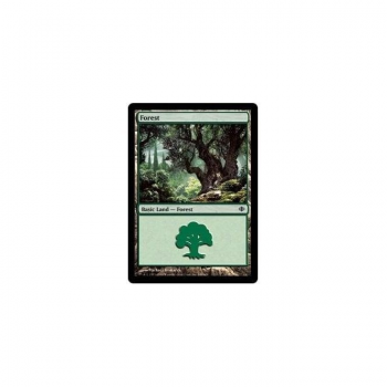 Forest : SHARDS OF ALARA 249/249 - Magic the Gathering Single Card
