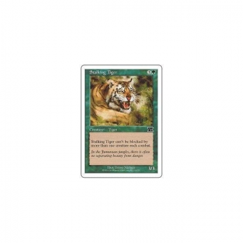Stalking Tiger : CLASSIC SIXTH EDITION 253/350 - Magic the Gathering Single Card