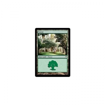 Forest : DUEL DECKS: JACE VS VRASKA 85/88 - Magic the Gathering Single Card