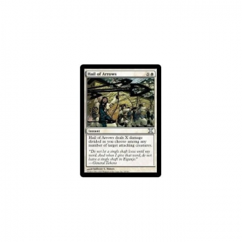 Hail of Arrows : TENTH EDITION 018/383 - Magic the Gathering Single Card