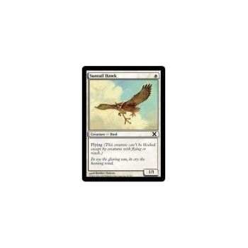 Suntail Hawk : TENTH EDITION 050/383 - Magic the Gathering Single Card
