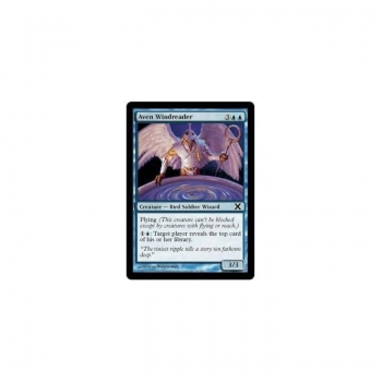 Aven Windreader : TENTH EDITION 069/383 - Magic the Gathering Single Card