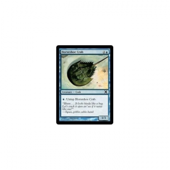Horseshoe Crab : TENTH EDITION 087/383 - Magic the Gathering Single Card