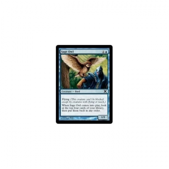 Sage Owl : TENTH EDITION 104/383 - Magic the Gathering Single Card
