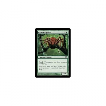 Canopy Spider : TENTH EDITION 254/383 - Magic the Gathering Single Card