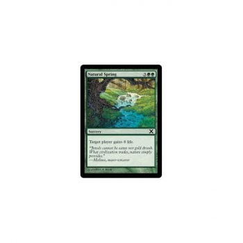 Natural Spring : TENTH EDITION 281/383 - Magic the Gathering Single Card