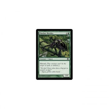 Pincher Beetles : TENTH EDITION 285/383 - Magic the Gathering Single Card
