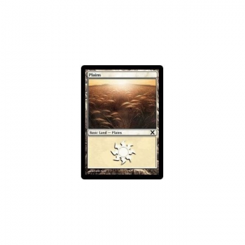 Plains : TENTH EDITION 365/383 - Magic the Gathering Single Card