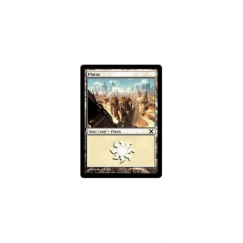 Plains : TENTH EDITION 367/383 - Magic the Gathering Single Card