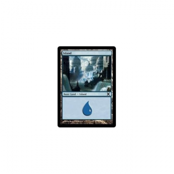 Island : TENTH EDITION 371/383 - Magic the Gathering Single Card