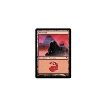 Mountain : TENTH EDITION 376/383 - Magic the Gathering Single Card